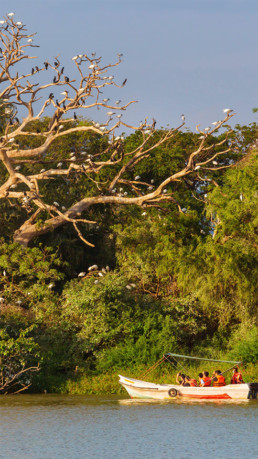 River Boat Safari Olifants River Kruger National Park South Africa
