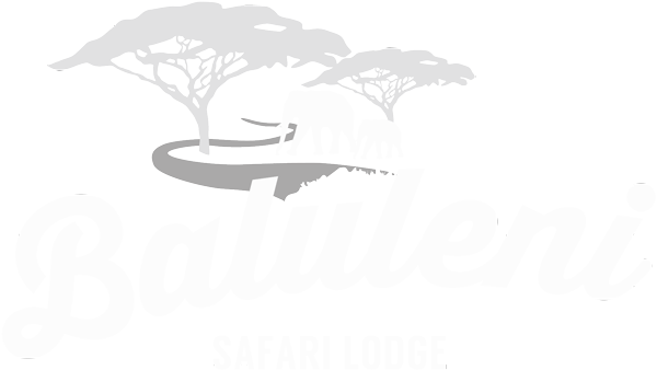 Safari Lodge Krüger Nationalpark