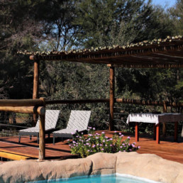 Enjoy the perfect combination of luxury and wilderness at our Safari Lodge.
