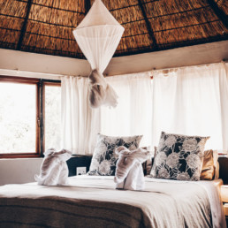 Explore the untouched nature of South Africa and enjoy first class accommodations at our Safari Lodge.