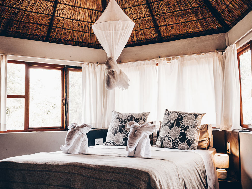 Explore the untouched nature of South Africa and enjoy first class accommodations at our Safari Lodge.