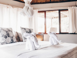 Explore the wild beauty of Africa and enjoy comfortable accommodations at our Safari Lodge.