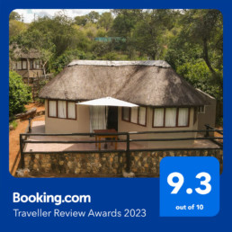 Baluleni Safari Lodge South Africa Best Reviews