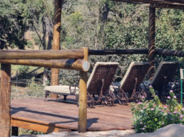 Observe breathtaking animals in their natural environment and relax at our safari lodge.
