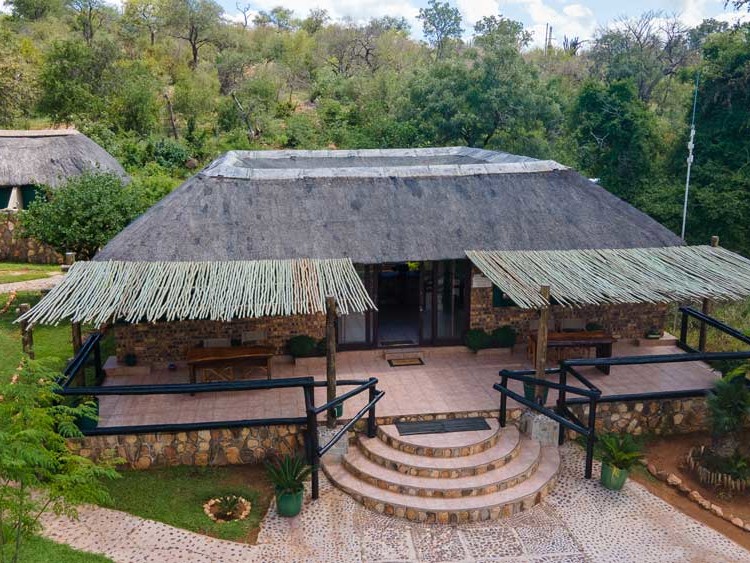 Experience unforgettable encounters with wild animals at our safari lodge.