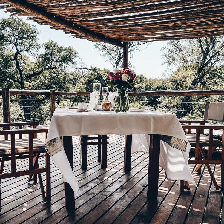 Experience the fascination of the Big Five in our exclusive lodge at the Kruger National Park.