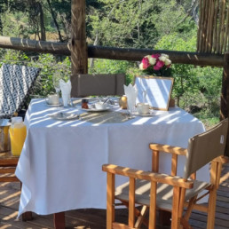 Experience the luxury of safari life at our first class lodge.
