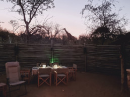 Be enchanted by the diversity of wildlife at our safari lodge.